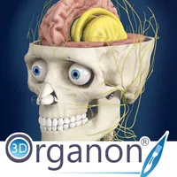 3D Organon Anatomy - Brain and Nervous System icon