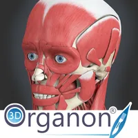 3D Organon Anatomy - Muscles, Skeleton, and Ligaments icon