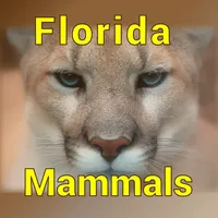 Florida Mammals icon