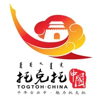 魅力托克托 icon