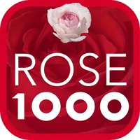 Cut Roses 1000 icon