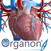 3D Organon Anatomy - Heart, Arteries, and Veins icon