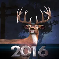 Bow Hunter 2016 icon