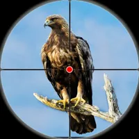 Bird Hunting Sniper Games 3d icon