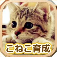 Cat Healing Life icon