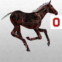 FoalScore icon