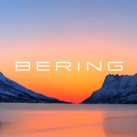 BERING Connected icon