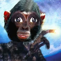 Chimpanzee  Might Beat you! icon