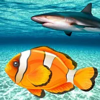 Real Fish Simulator icon