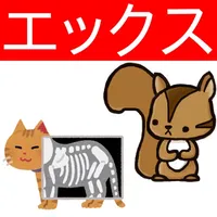 エックス線作業主任者試験lite　りすさんシリーズ icon