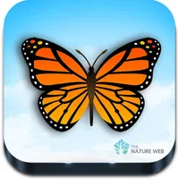 Indian Butterflies icon