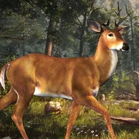 Deer Hunting Challenge 2016 icon