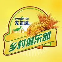 乡村俱乐部 icon