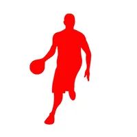 Drive Basketball icon