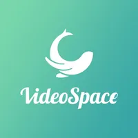 VideoSpace - 企業向け動画配信プラットフォーム icon