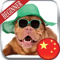 Mandarin Beginner icon