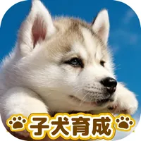 dog puppy breeding game icon