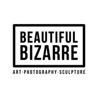 Beautiful Bizarre Magazine icon