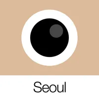 Analog Seoul icon