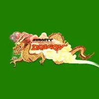 Express Dragon icon