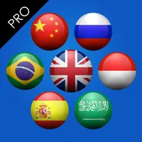 ProTranslate Pro icon