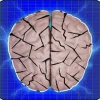 Brain Cracker Memory Game icon