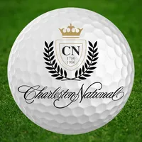 Charleston National icon