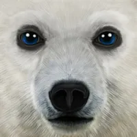 Ultimate Arctic Simulator icon