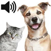 Animal Sounds Effect icon