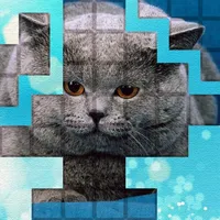 PicPu - Cat Picture Puzzle icon