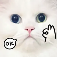 My Dumb Cats icon