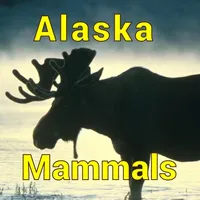 Alaska Mammals icon