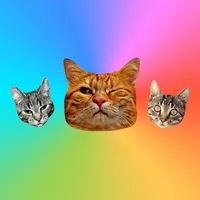 Cat Stickers for Messages icon