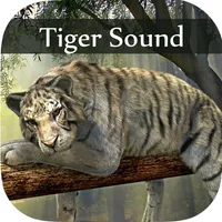 Tiger Sounds - Tiger Sounds for Kids icon