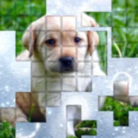 PicPu - Dog Picture Puzzle icon