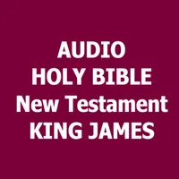 Audio Bible New Testament icon