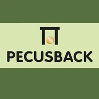 PECUSBACK icon