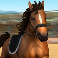 Horse World -  Show Jumping icon