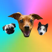 Dogs - Dog Stickers Messages icon