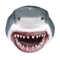 Shark Head icon