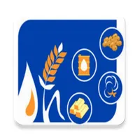 Commodity Mirror icon