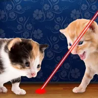 Laser Pointer for Cat icon