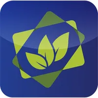 Syngenta Cards icon