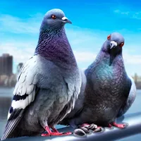 Pigeon Survival Simulator 3D 2 icon