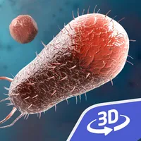 Bacteria 3D icon