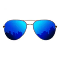 Ultimate Sunglasses Collection icon