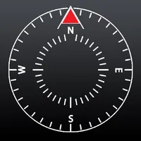 NESW - Minimal Compass icon