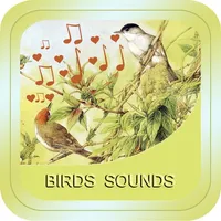 Bird Soundx icon