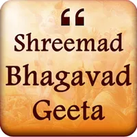 Bhagavad Gita Saar Hindi icon