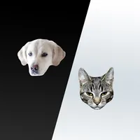 Cats and Dogs Message Stickers icon